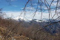 08 Alben e Menna dietro gli alberi